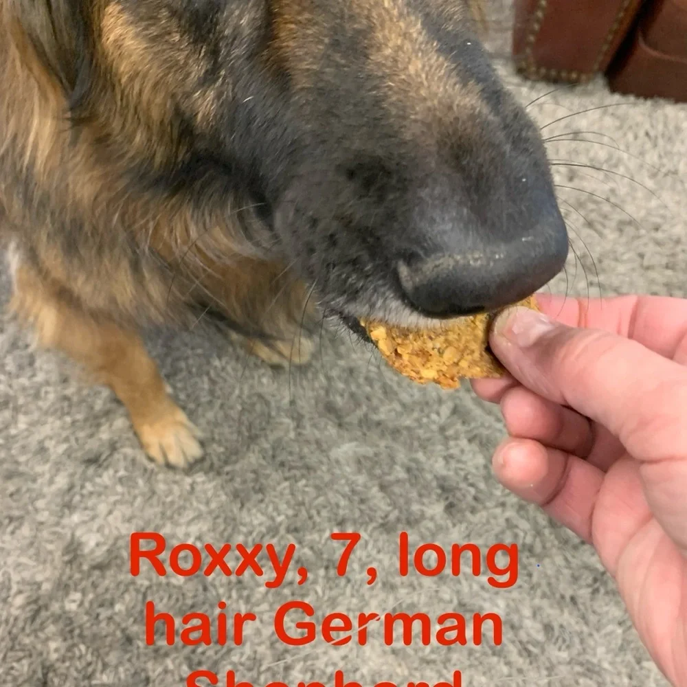 Meaty Dog cookies